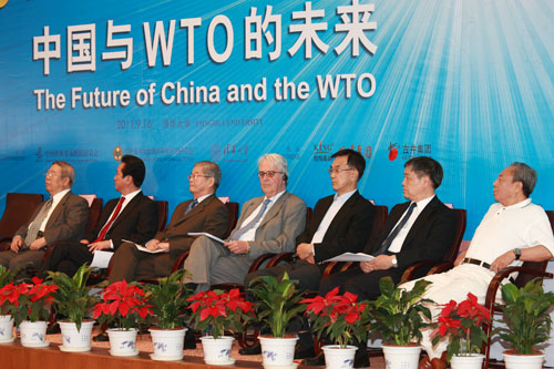 中国与WTO的未来--纪念中国加入世界贸易组织